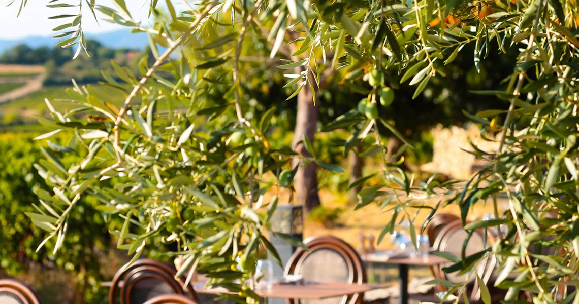 pezet_terrasse_olivierb