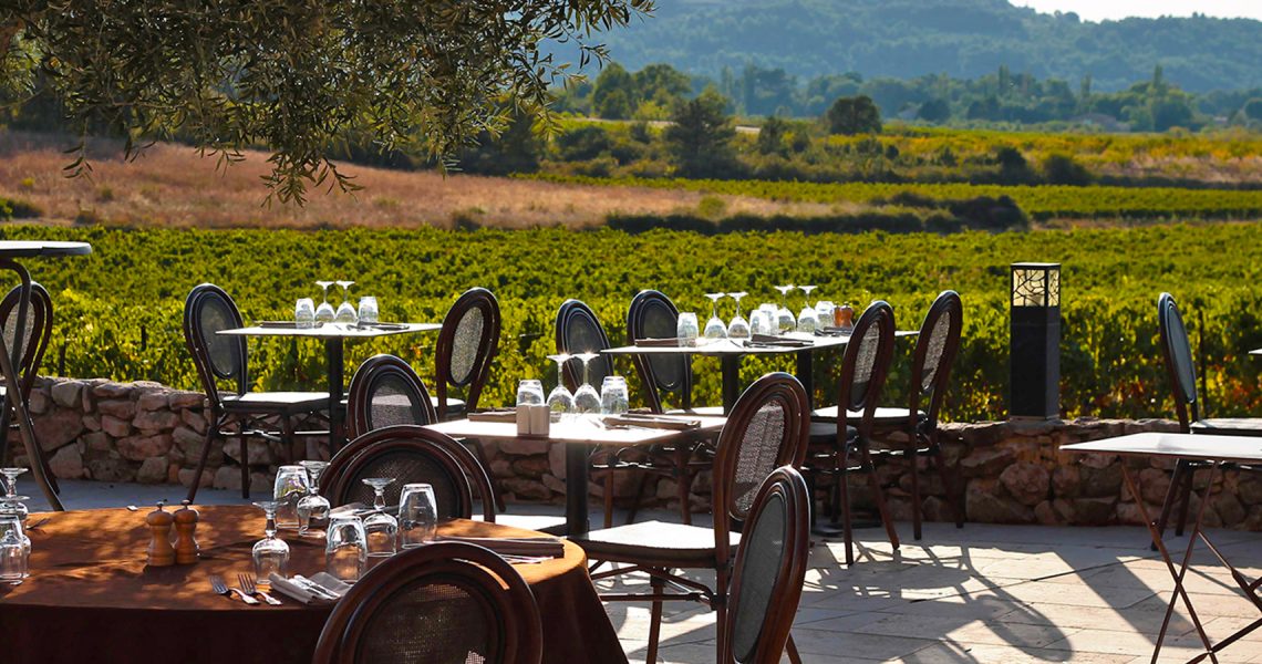 pezet_terrasse_vignes2b